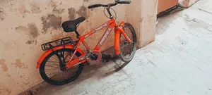 Fresh Condition Bicycle (Age:8-13)