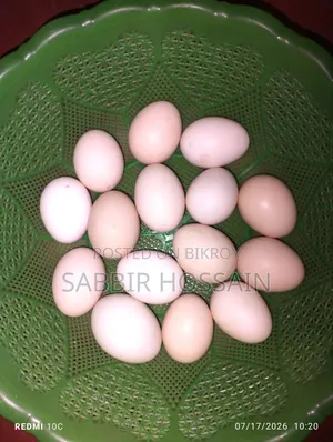 দেশি মুরগির ডিম