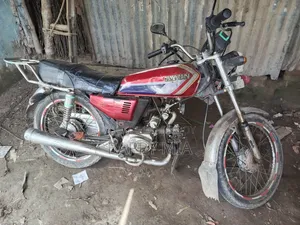 দায়াং ডিওয়াই১০০-এ ২০১৩ রেড