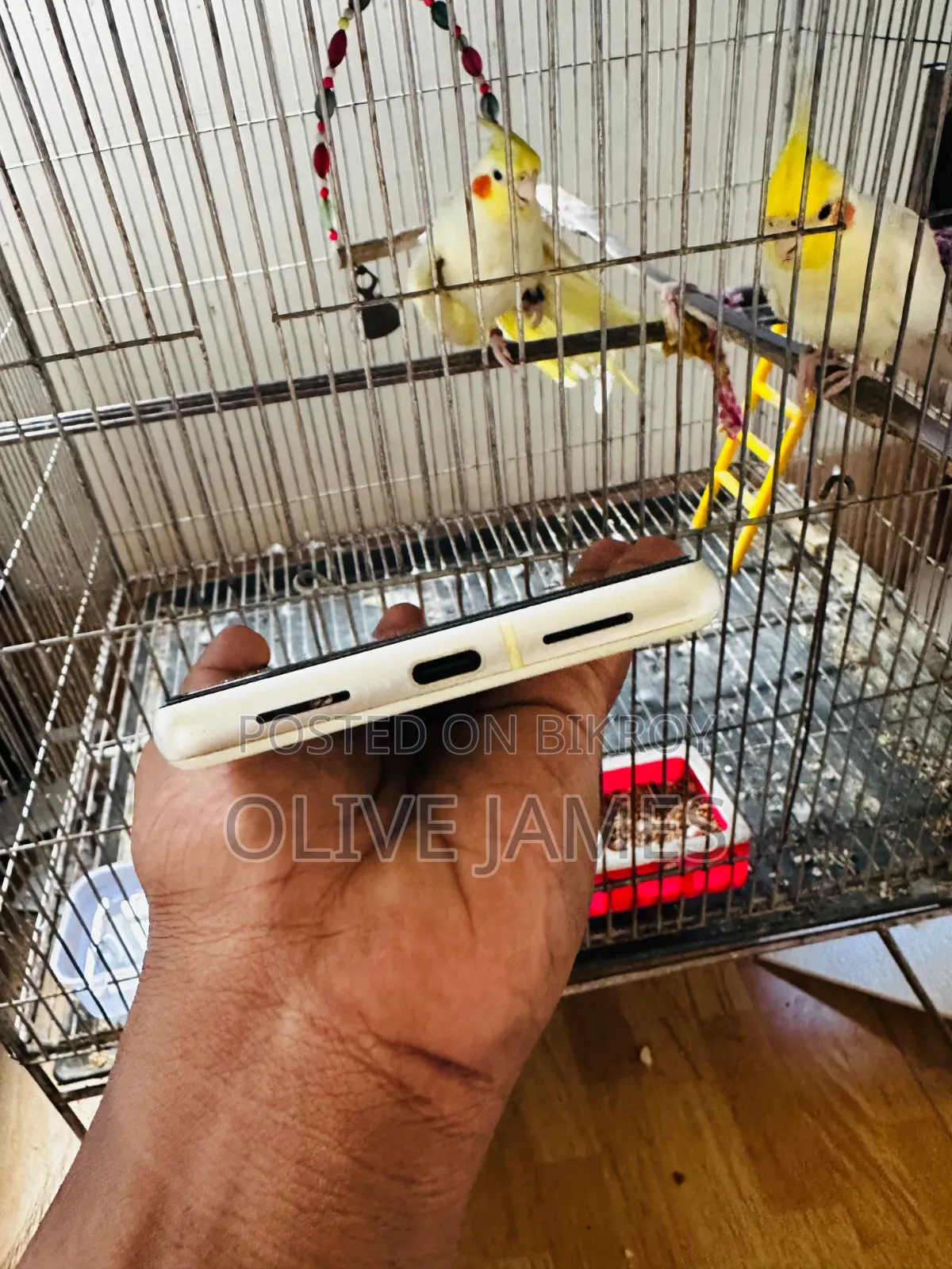 Google Pixel 7 128 GB White