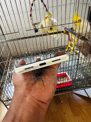 Google Pixel 7 128 GB White