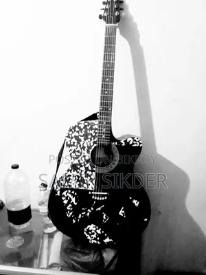 Signature 265 Guitar