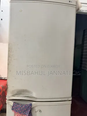LG Fridge Use