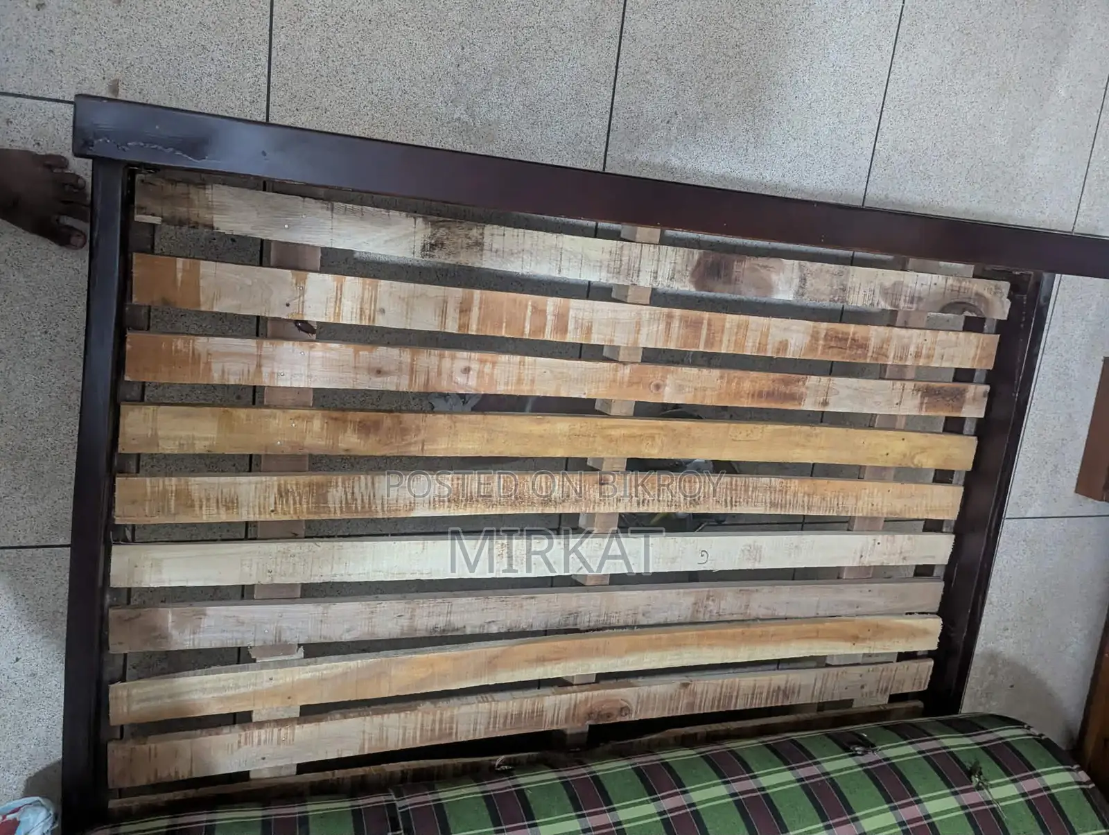 Malaysian Wood Khat
