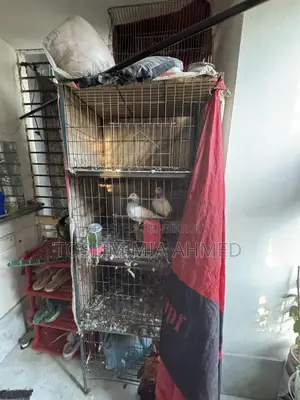 খাঁচা বিক্রি হবে