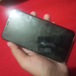 অ্যাপল আইফোন এক্সএস ২৫৬ জিবি রোজ গোল্ড