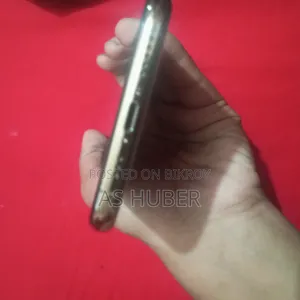 অ্যাপল আইফোন এক্সএস ২৫৬ জিবি রোজ গোল্ড