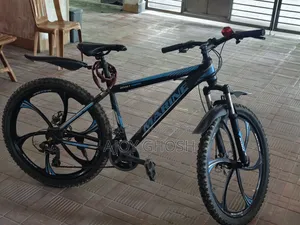 Marine Honda Rim Bicycle