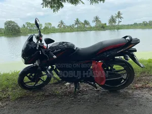 Bajaj Pulsar 150 2013 Black