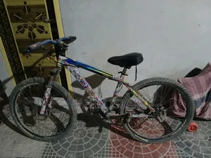 ফিনিক্স সাইকেল