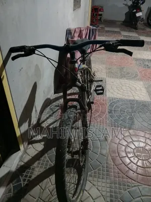 ফিনিক্স সাইকেল
