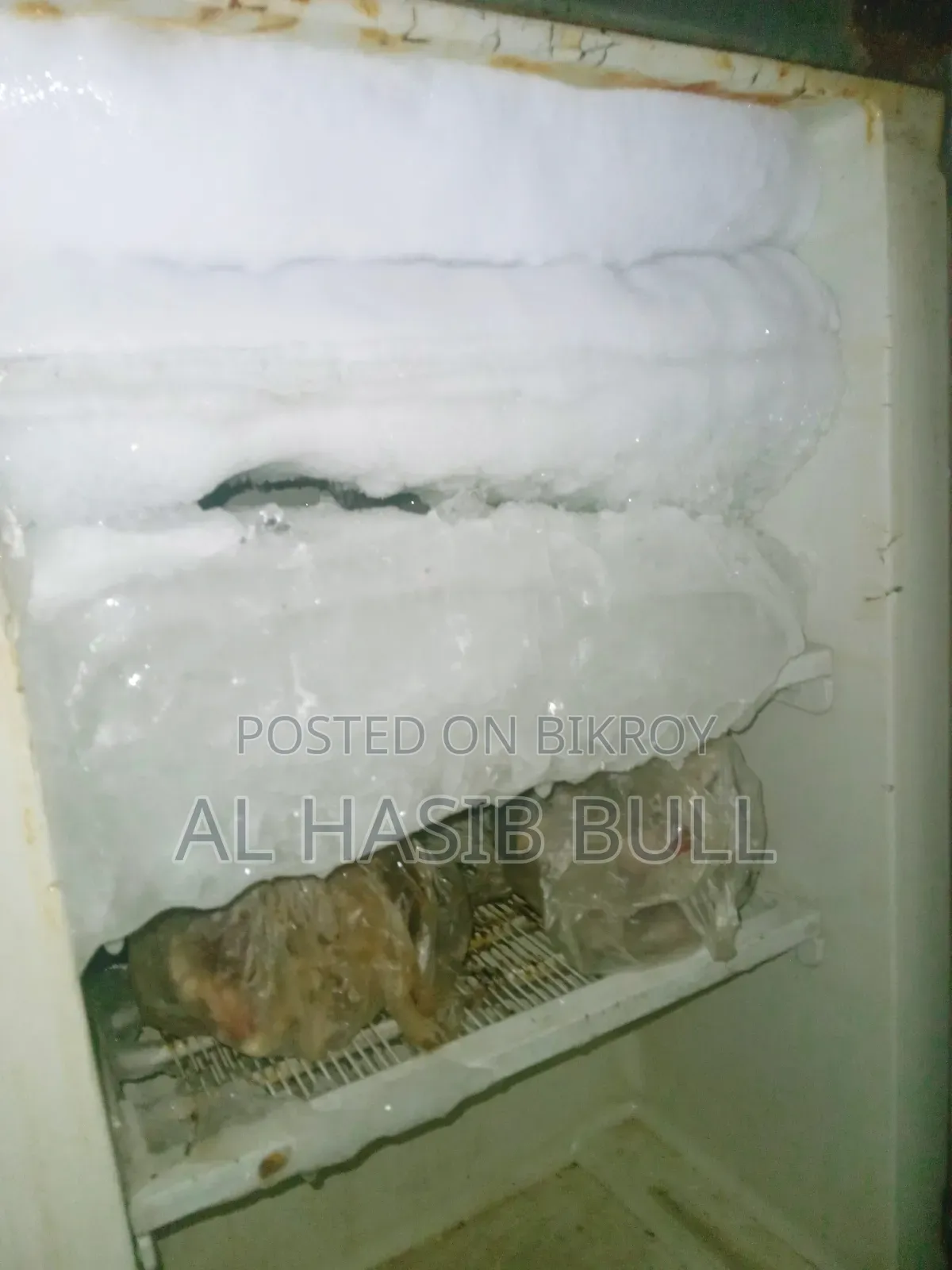 Fridge has no major issues
