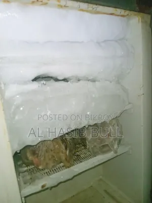 Fridge has no major issues