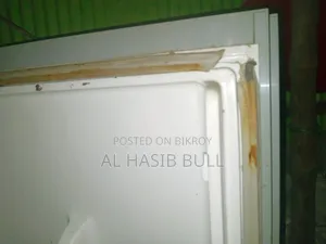 Fridge has no major issues