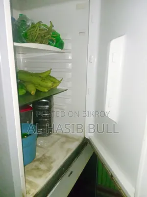 Fridge has no major issues