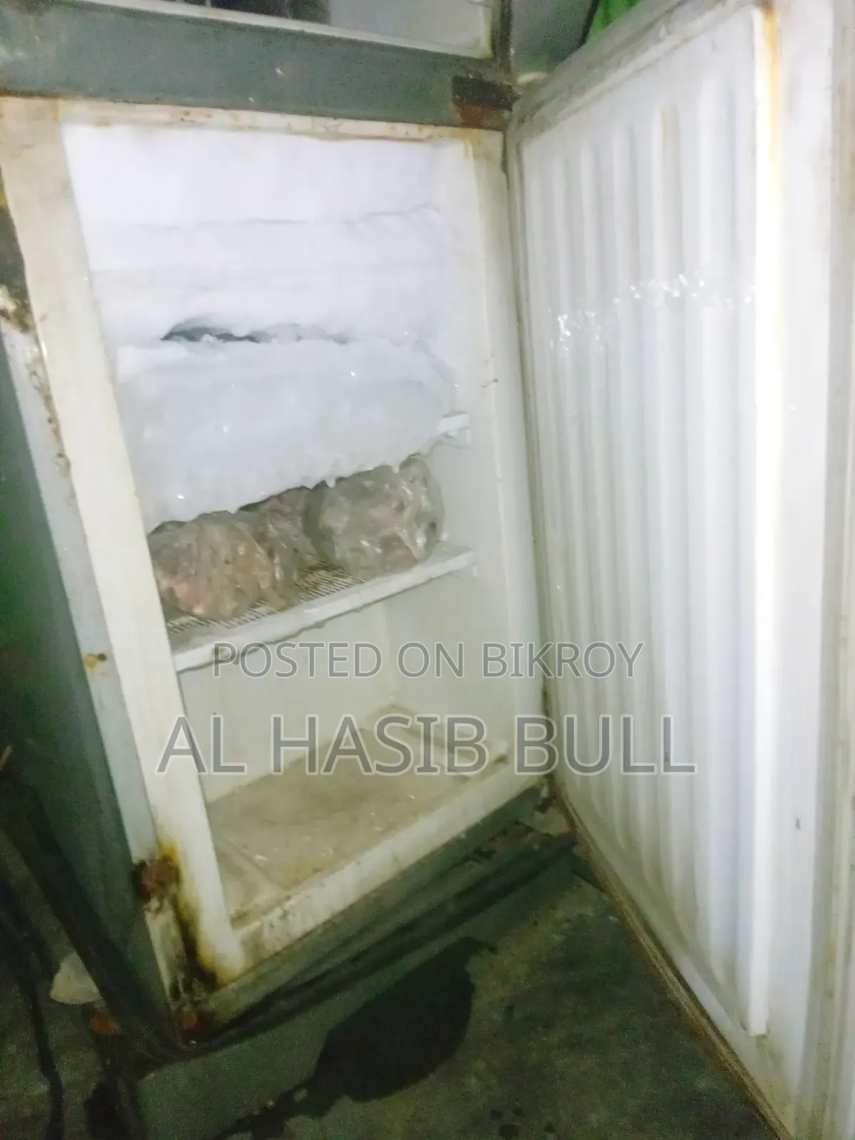 Fridge has no major issues