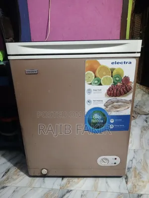 Electra Deep Freezer