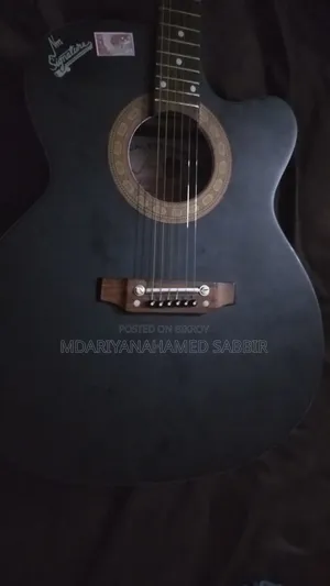 Signature Guiter Model 265