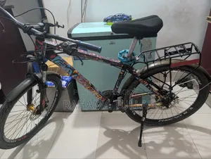 Bicycle Phoenix