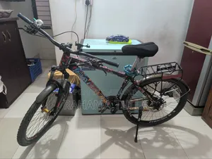Bicycle Phoenix