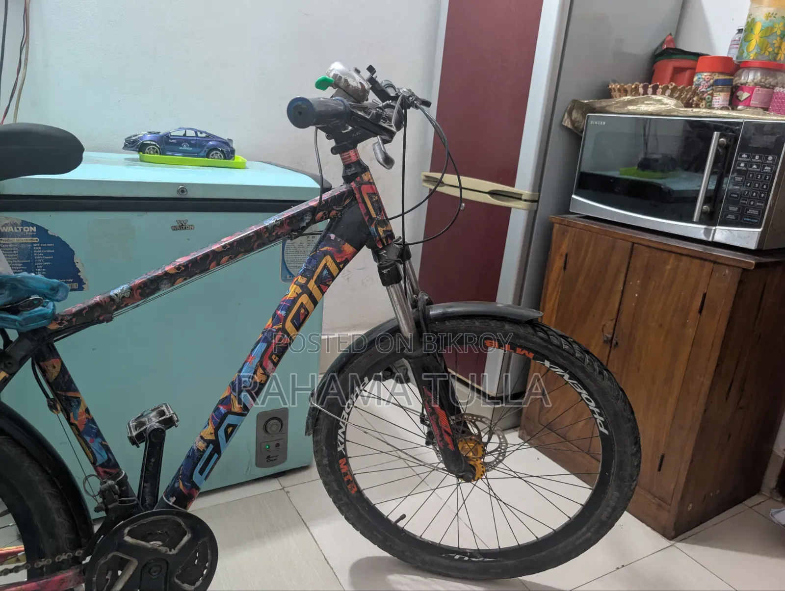 Bicycle Phoenix
