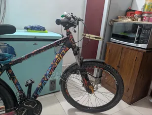 Bicycle Phoenix