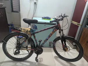 Bicycle Phoenix