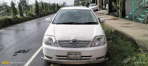 Toyota Corolla 2004 White