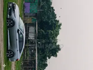 হোন্ডা সিভিক ২০১৭ গ্রে