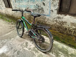 ফিনিক্স ট্রুপার