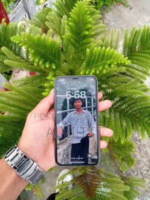 Apple iPhone X 256 GB White