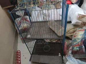 পাখির খাচা
