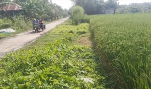 Buy Land Beside the Road