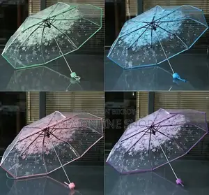 Transparent Umbrella