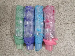 Transparent Umbrella