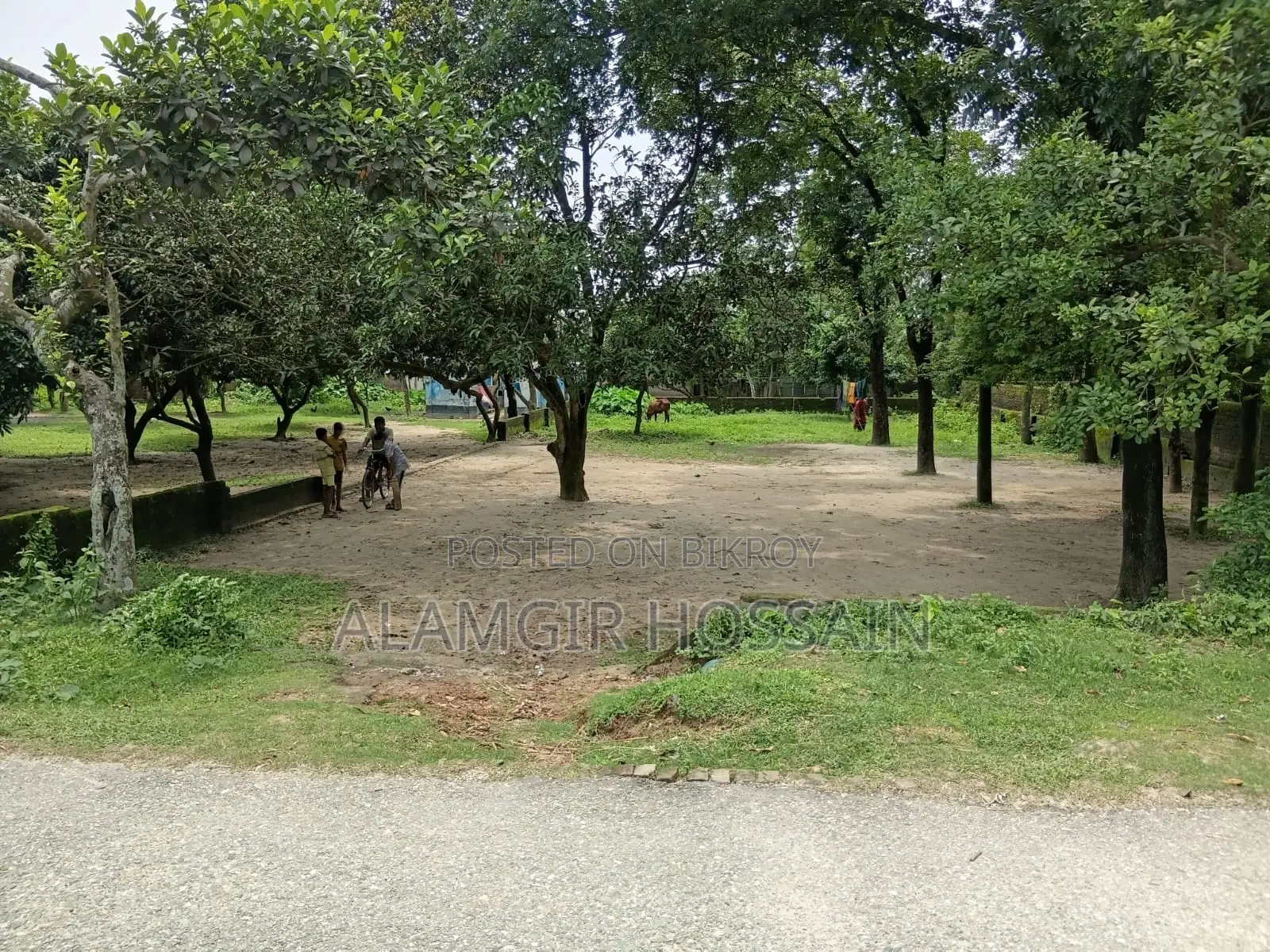Land for Sell