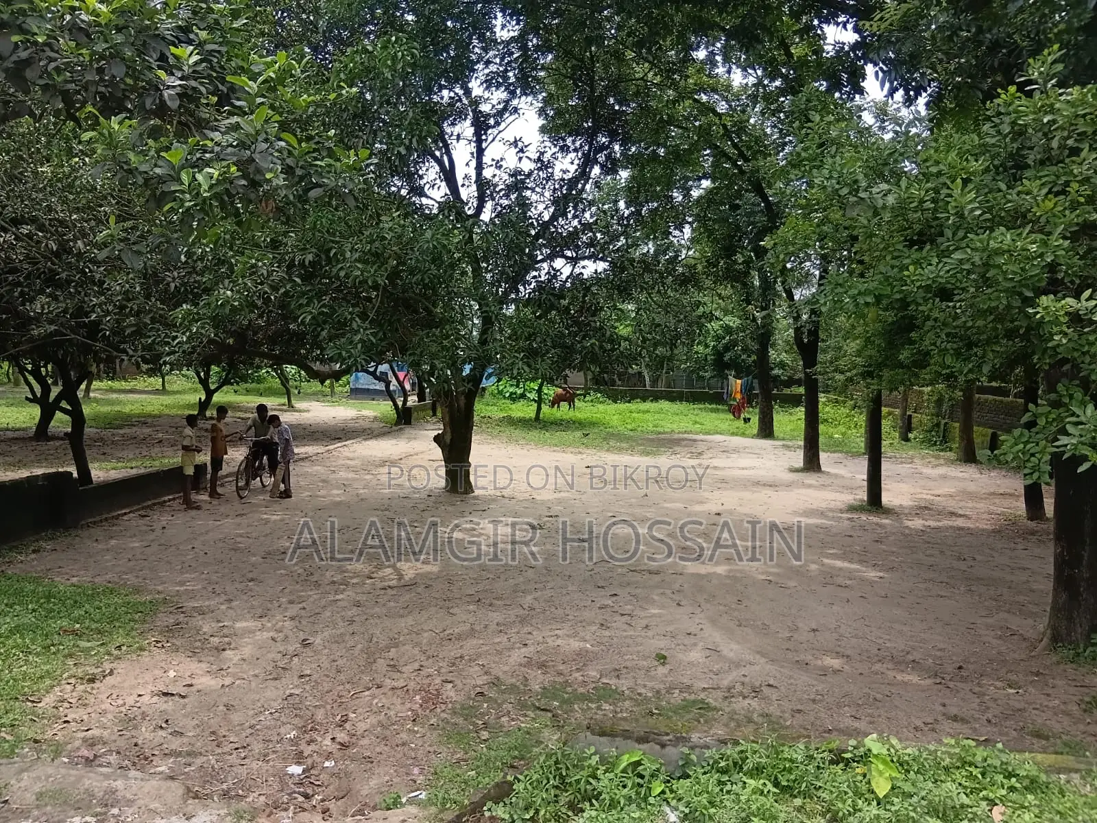 Land for Sell