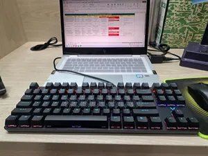 Mechanical Gaming Keyboard (Rapoo V500PRO)