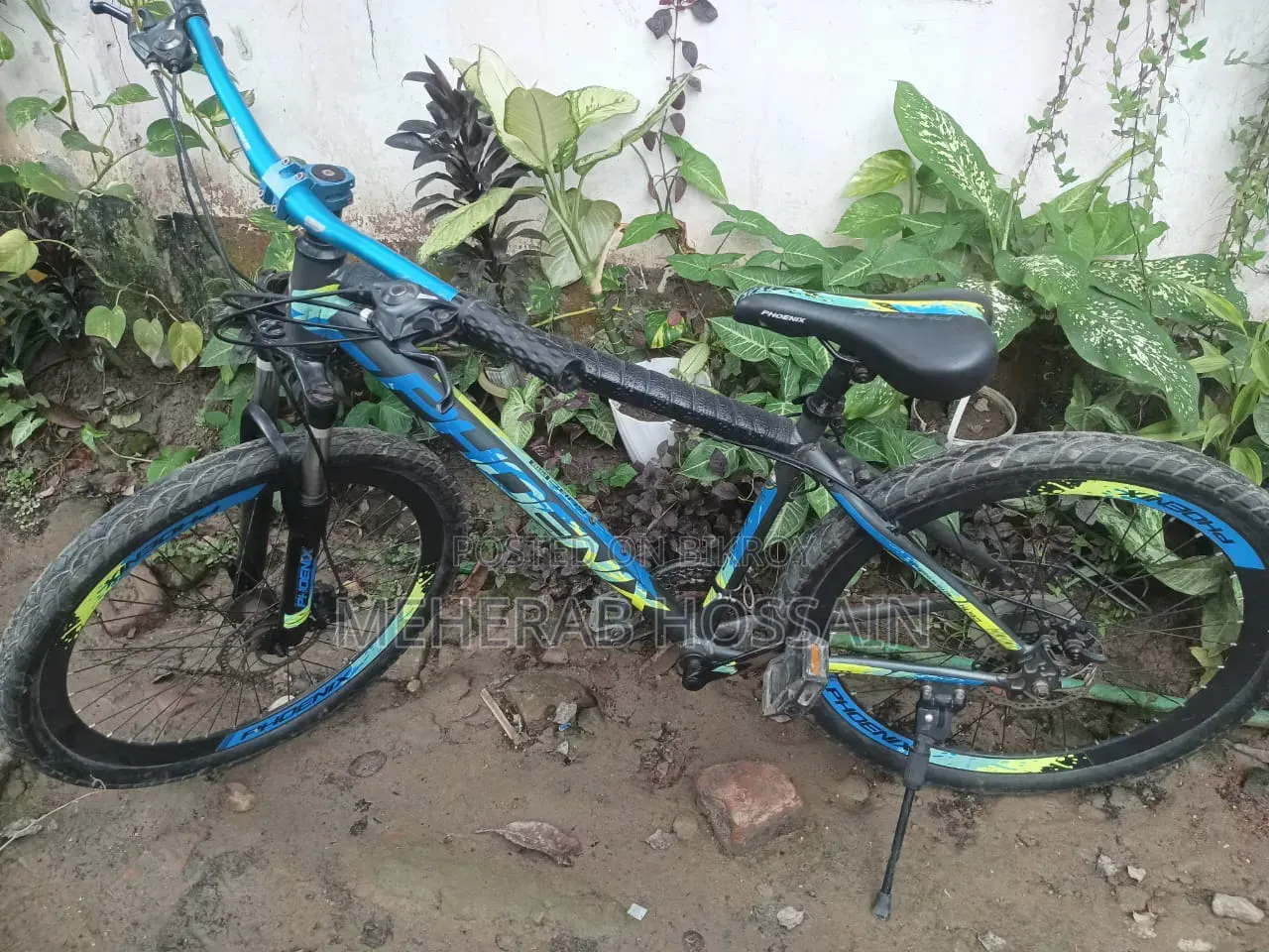 সাইকেল ফিনিক্স কুবো
