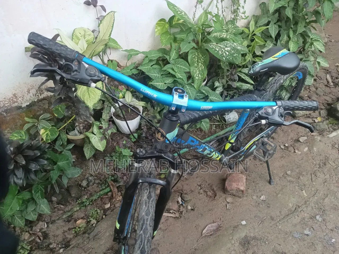 সাইকেল ফিনিক্স কুবো