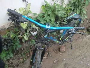 সাইকেল ফিনিক্স কুবো