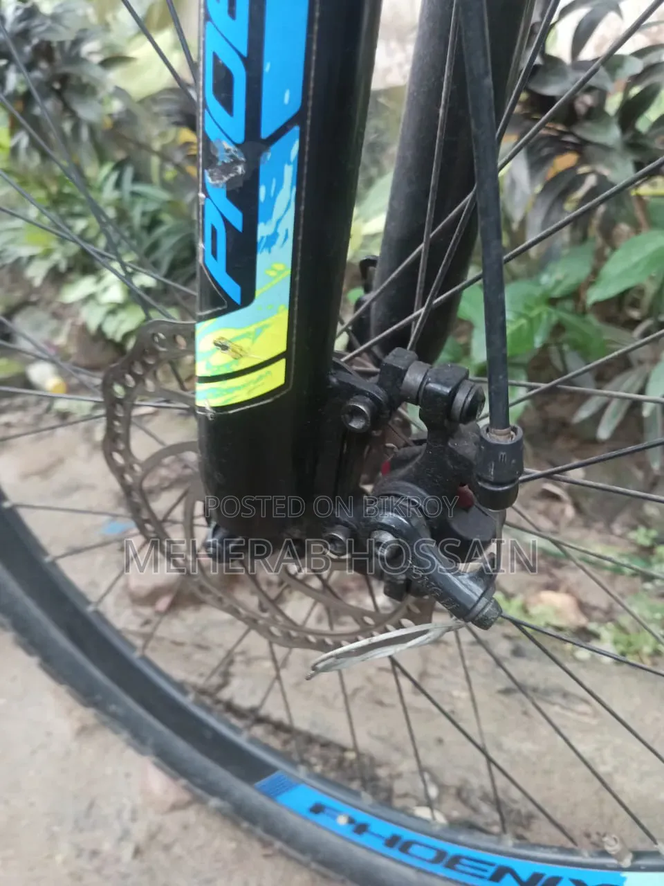 সাইকেল ফিনিক্স কুবো
