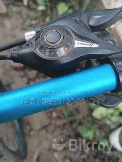 সাইকেল ফিনিক্স কুবো