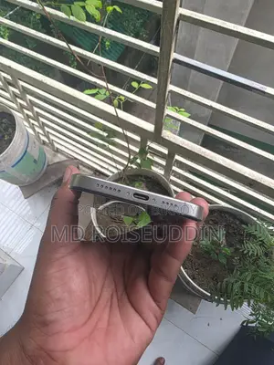 Apple iPhone 16 Pro Max 256 GB Silver