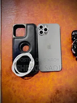 Apple iPhone 12 Pro Max 256 GB Gray