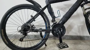 Duranta Bicycle