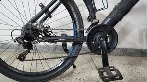 Duranta Bicycle