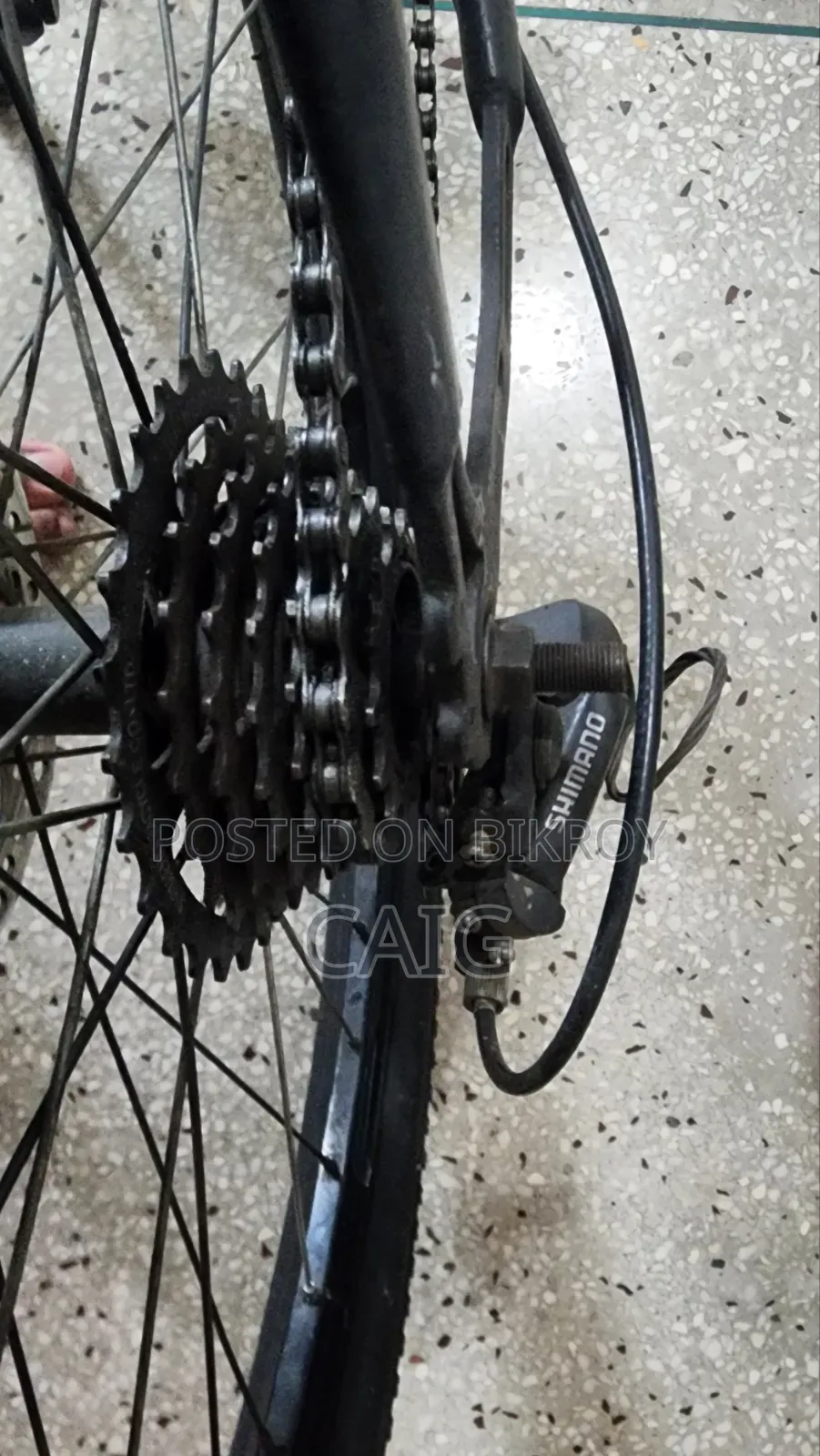 Duranta Bicycle