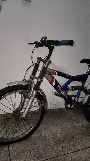 Phoenix Original Cycle Indian