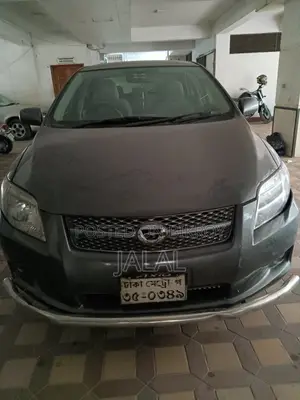 Toyota Axio 2006 Gray